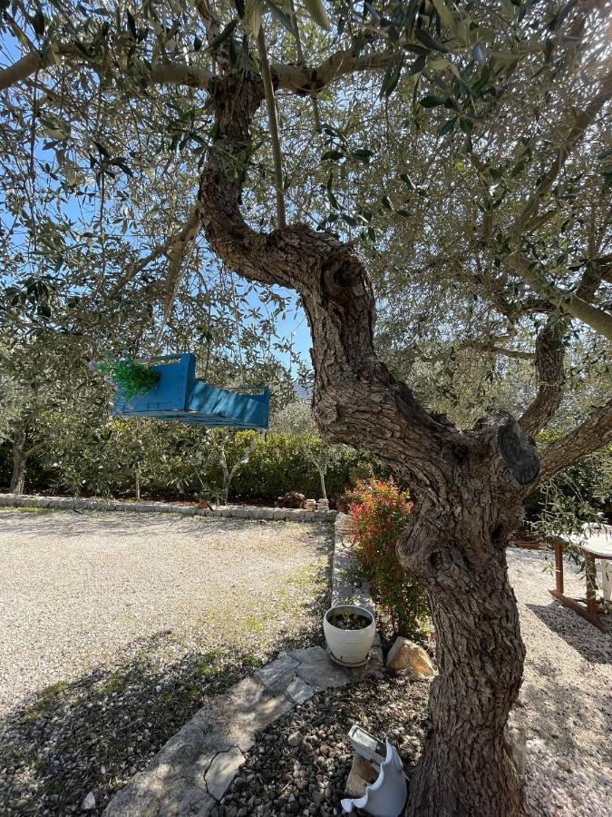 Villa Dama Cisternino Εξωτερικό φωτογραφία
